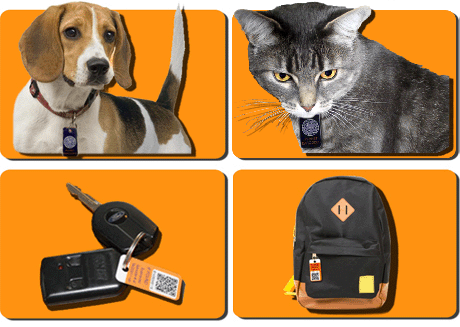 Tags Samples